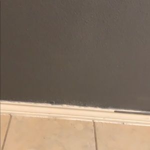 Meet your Posher, Mel